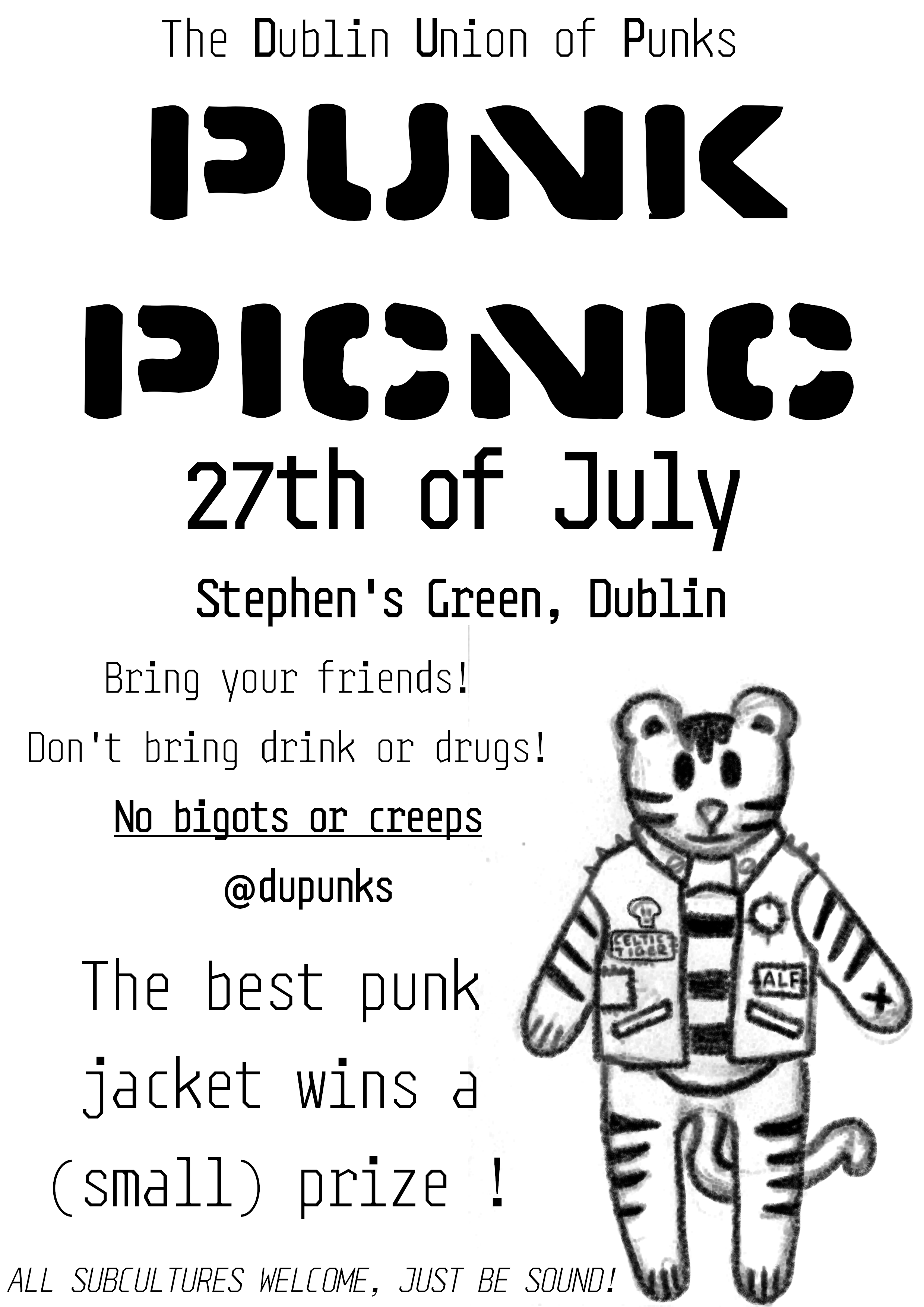 poster for punk picnic